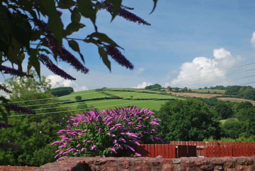 Barn Conversion Near The Coast Villa Paignton Exterior photo